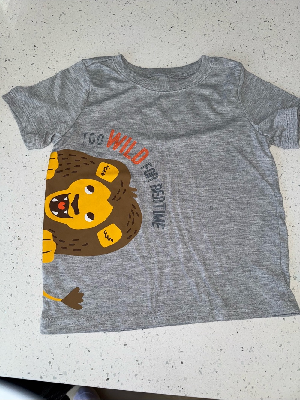 Kids Grey 'Too Wild for Bedtime' Lion Graphic Tee